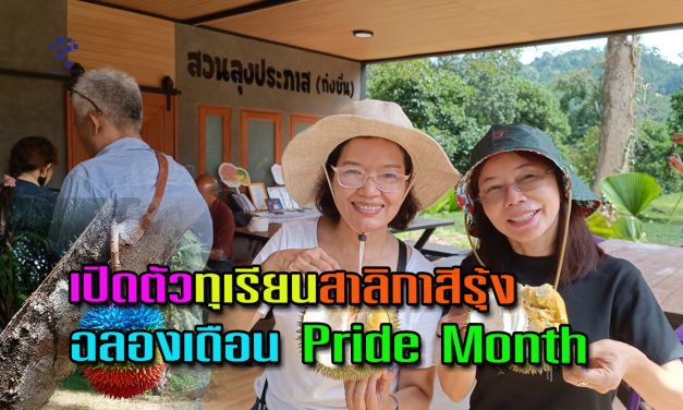 พังงา หนึ่งเดียวในไทย เปิดตัวทุเรียนสาลิกาสีรุ้งฉลองเดือน Pride Month สมรสเท่าเทียม บนต้นทุเรียนในสวนที่อำเภอกะปง