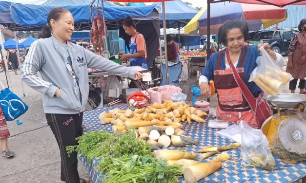 พะเยา หน่อไม้(เทพธิดาดอย) ต้มของดีต้นฤดูฝนหวานกรอบ