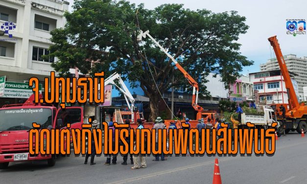 จ.ปทุมธานี ตัดแต่งกิ่งไม้ริมถนนพัฒนสัมพันธ์ ตามมติที่ประชุมร่วม 3 หน่วยงาน