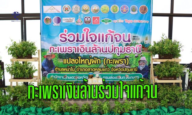 ปทุมธานี เกษตรจังหวัดปทุมฯ เสนอกะเพราเงินล้านร่วมใจแก้จน ชิงรางวัลเลิศรัฐประจำปี 67