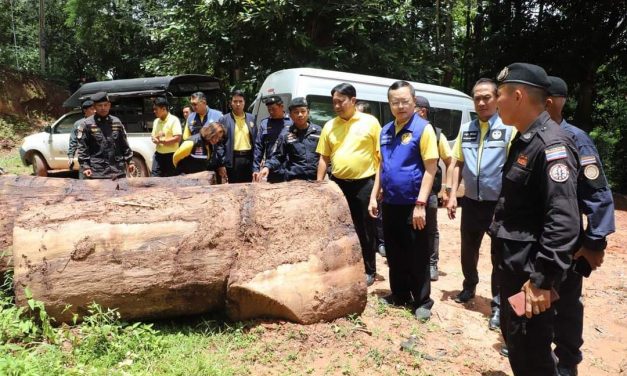 ผู้ว่าราชการจังหวัดอุตรดิตถ์ลงพื้นที่ให้กำลังใจเจ้าหน้าที่พิทักษ์ป่าในการตรวจยึดผู้ลักลอบตัดไม้ทำลายป่า