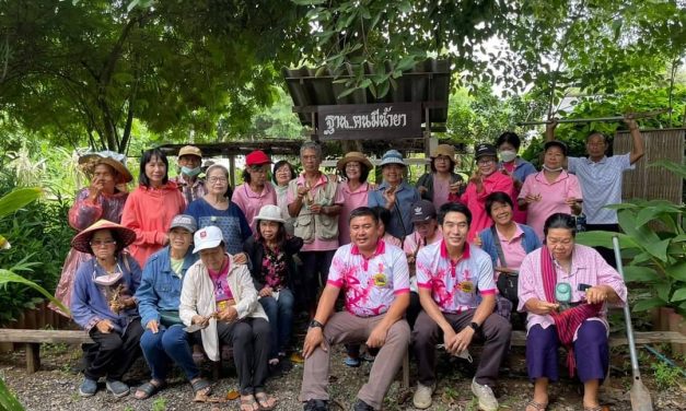 แพร่ นายก ทต.เด่นชัย จัดกิจกรรมสร้างเสริมสุขภาพในศูนย์ผู้สูงอายุ การแปรรูปสมุนไพร  มาเป็นส่วนผสมในการทำยาหม่องและร่วมปลูกถั่วเหลือง