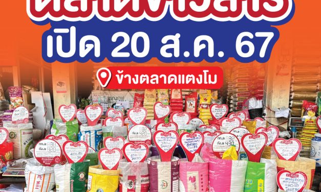 ปทุมธานี ตลาดสี่มุมเมืองเตรียมเปิดตลาดข้าวสาร แจกข้าวหอมมะลิพรีเมี่ยมฟรี 400 ถุง 20 ส.ค.นี้