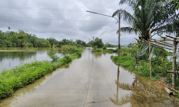 พังงา ฝนตกหนักต่อเนื่องนานหลายวันส่งผลให้แม่น้ำตะกั่วป่าเออร้อนไหลเข้าท่วมบ้านเรือนประชาชนในพื้นที่ลุ่มต่ำและสวนปาล์ม