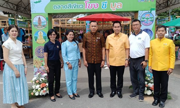 ยโสธร  ยกสวนมา กลางเมือง จัดงานตลาดสีเขียวโขงชีมูล ขายสินค้า เกษตรอินทรีย์                       