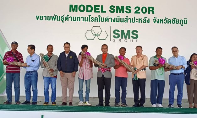 ชัยภูมิ บ.สยาม ควอลิตี้ สตาร์ช จำกัด จัดงาน “MODEL SMS 20R” ขยายพันธุ์ต้านทานโรคใบด่างมันสำปะหลัง 