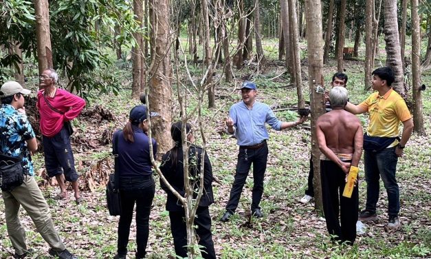 เกษตรกระบี่ ลงติดตามสถานการณ์การระบาดของศัตรูพืชยางพารา โรคใบร่วง (ชนิดใหม่)