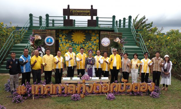 แม่ฮ่องสอน จัดงานแถลงข่าวพิธีเปิดเทศกาลทุ่งบัวตองบาน ดอยแม่อูคอ อำเภอขุนยวม ในวันที่ 11 พฤศจิกายน 2567 ซึ่งขณะนี้ดอกบัวตองบานแล้วกว่า 80 เปอร์เซ็นต์