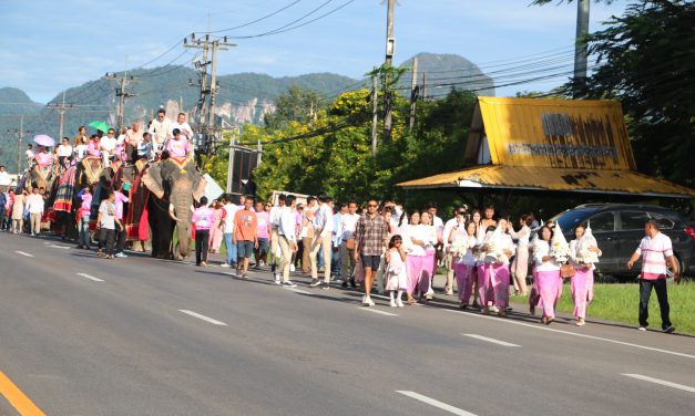 พังงา-งานช้าง หนุ่มทับปุดขี่ช้างแห่ขันหมาก 10 เชือกไปขอเมีย พ่อยกช้างให้เป็นของขวัญ1เชือก