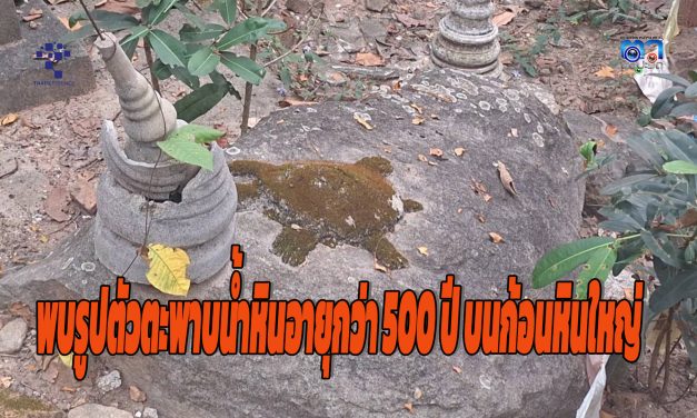 พะเยา ตลึง!!พบรูปตัวตะพาบน้ำหินอายุกว่า 500 ปี บนก้อนหินใหญ่ ข้างหลังวิหารรอย พระพุทธบาท ในป่าบนพระธาตุจอมทอง