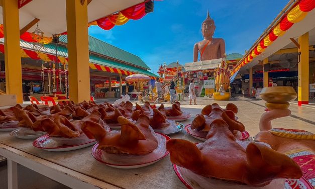 นครปฐม เจ้าของร้านวัสดุก่อสร้างสระแก้วนำหัวหมู49หัวผลไม้19กิโลกรัมประทัด 1998 นัดแก้บนหลวงพ่อสมหวังหลังประสบอุบัติเหตุรับการผ่าตัดจนสามารถใช้ชีวิตได้ปกติ