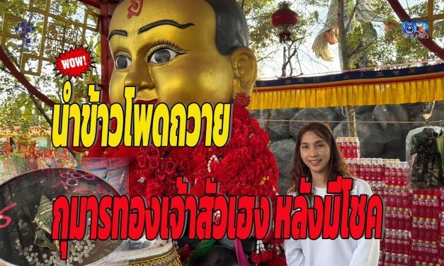 ปทุมธานี สาวดวงเฮงนำข้าวโพดถวายกุมารทองเจ้าสัวเฮง หลังมีโชคจากการขอผ่านมือถือ